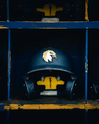 Baseball player's helmet
